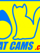 Catcams - CatCams knastaksler