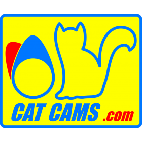 Catcams - CatCams knastaksler